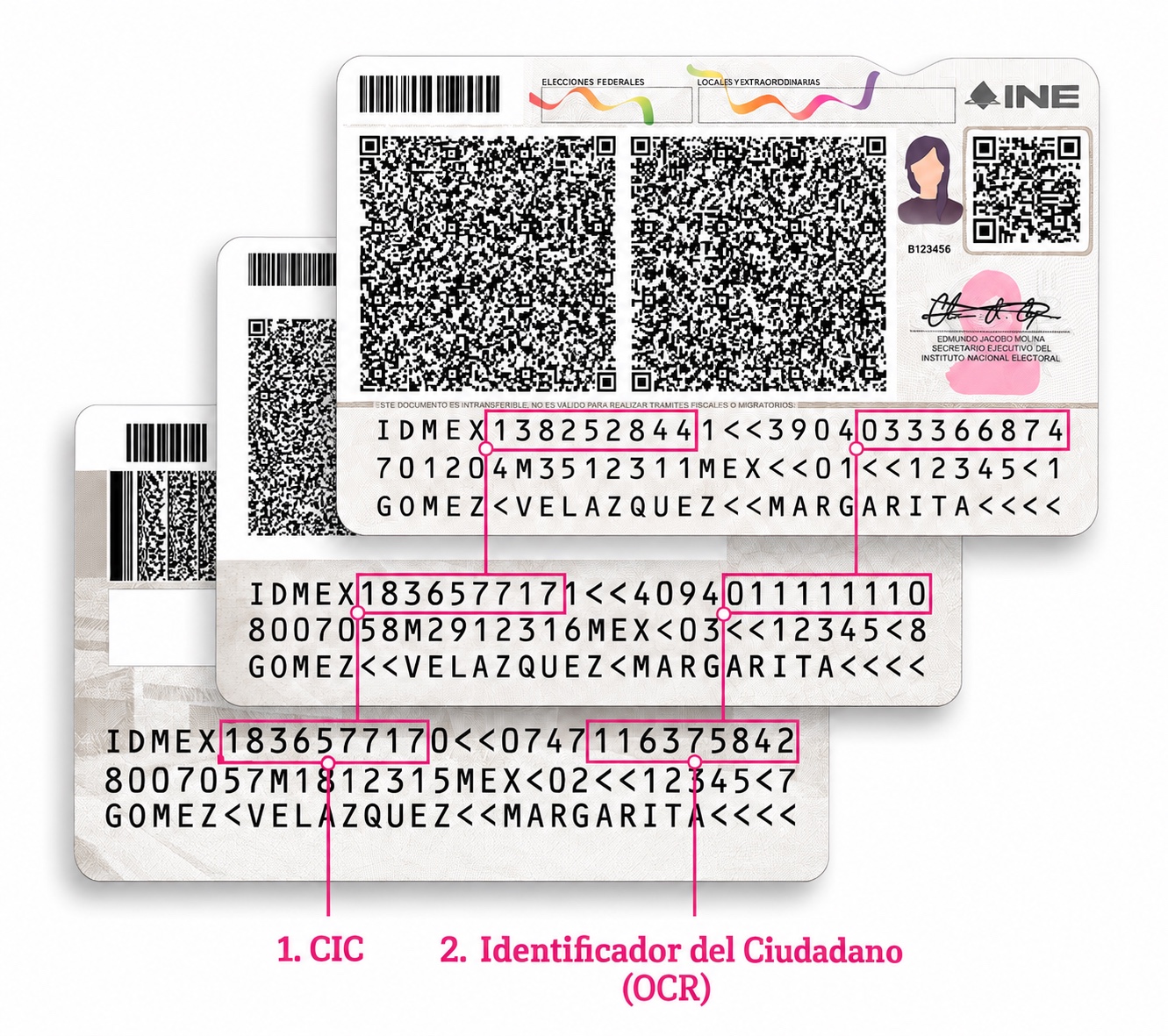 Credenciales INE señalando la ubicación del CIC y del Identificador Ciudadano u OCR